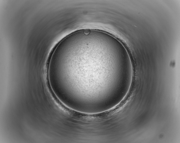 X0000099531517200805161158