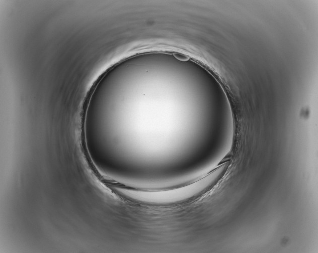 X0000099531518200805161158