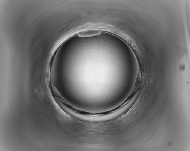X0000099531520200805161158