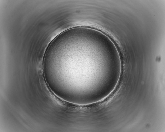X0000099531521200805161158