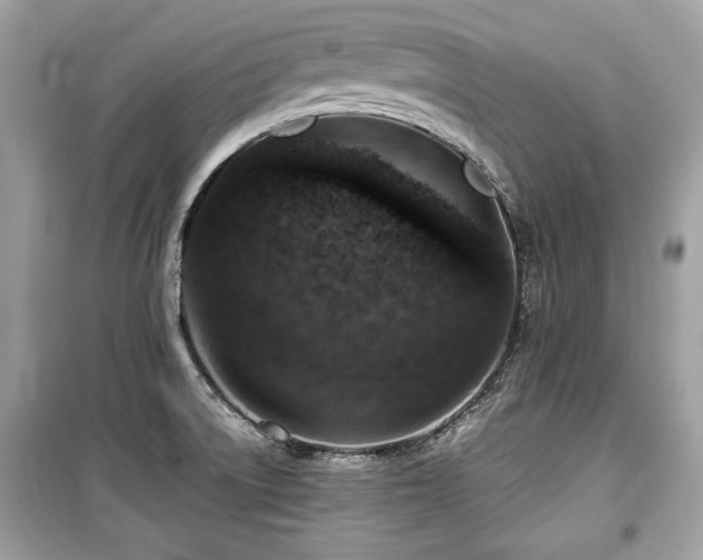 X0000099531522200805161158