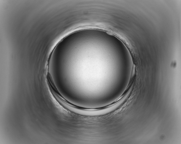 X0000099531524200805161158