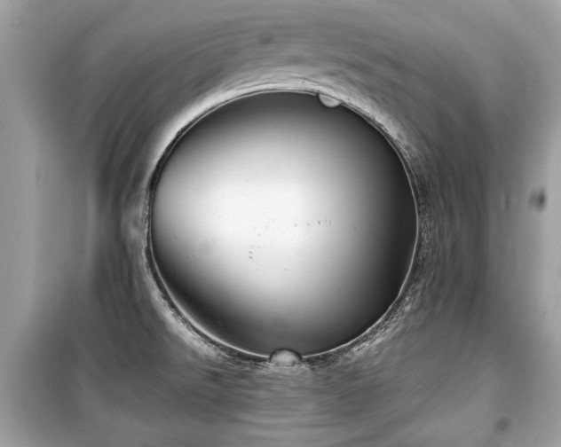 X0000099531526200805161159