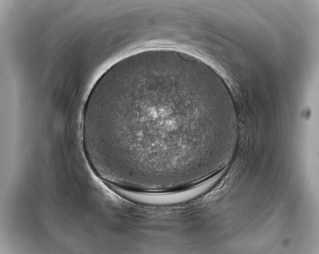 X0000099531527200805161159