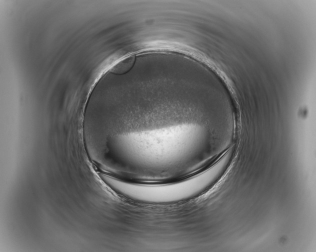 X0000099531529200805161159