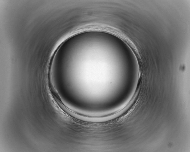 X0000099531530200805161159