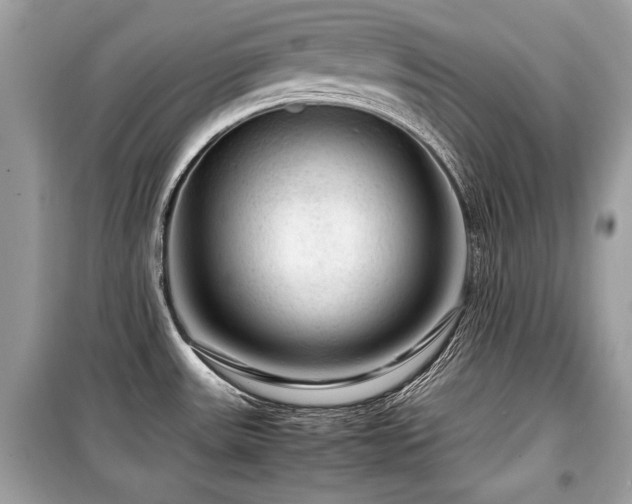 X0000099531531200805161159