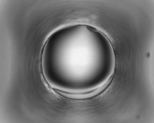 X0000099531534200805161159