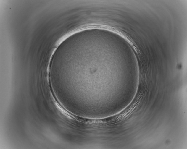 X0000099531535200805161159