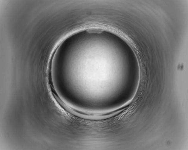 X0000099531536200805161159