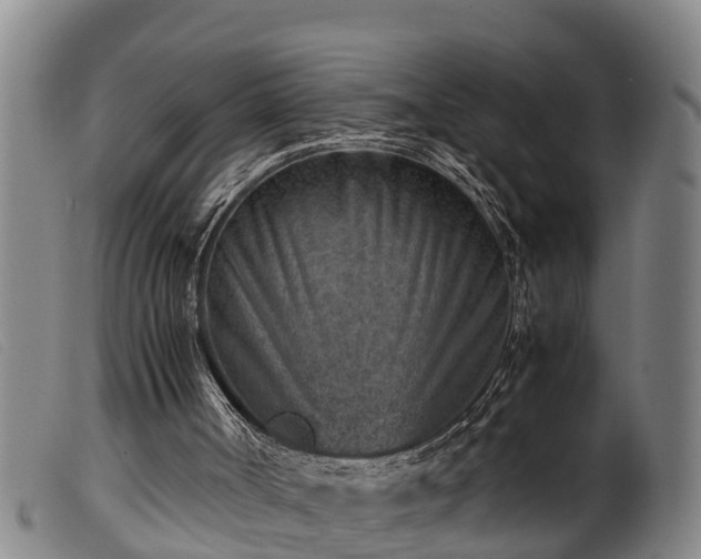 X0000099530002200805231113