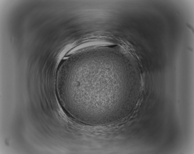 X0000099530003200805231113