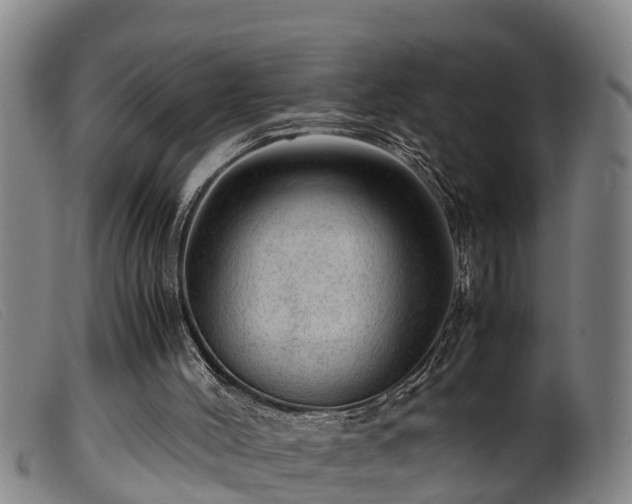 X0000099530004200805231113