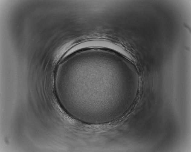 X0000099530005200805231113