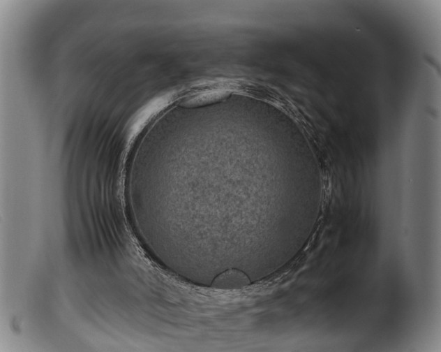 X0000099530006200805231113