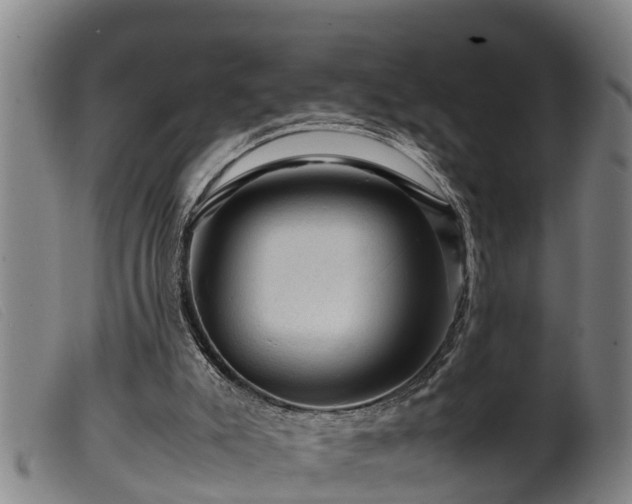 X0000099530007200805231113