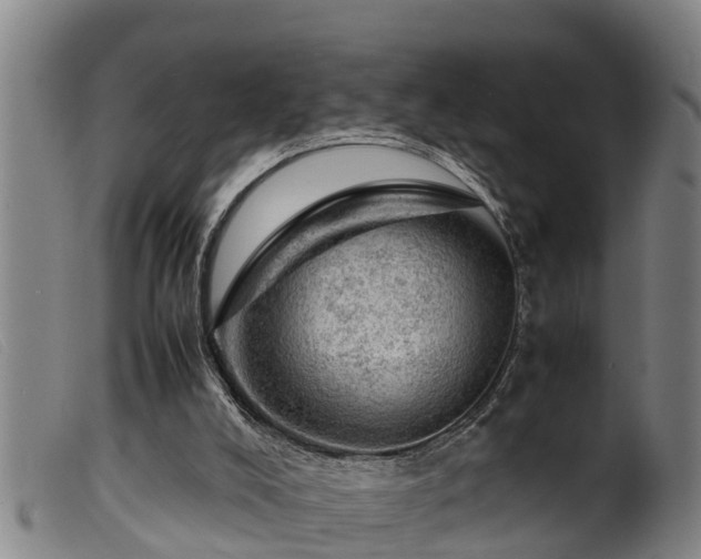 X0000099530008200805231113