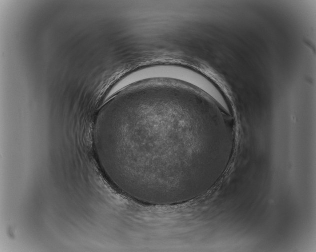 X0000099530009200805231113