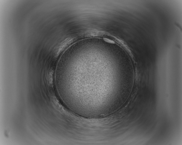X0000099530010200805231113