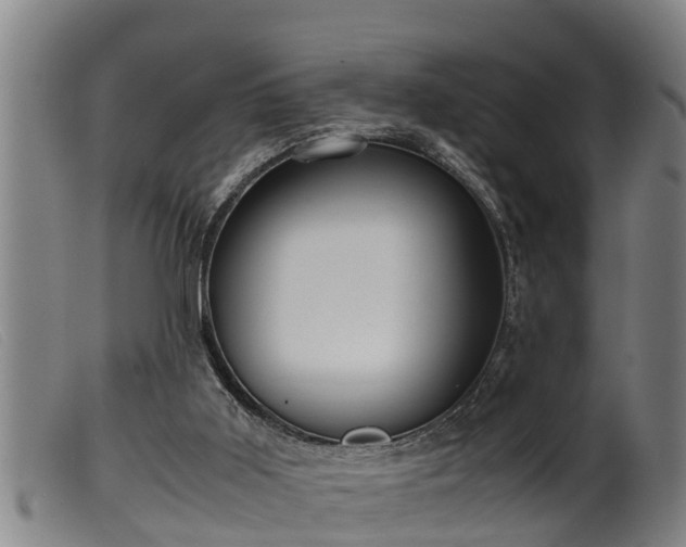 X0000099530011200805231113