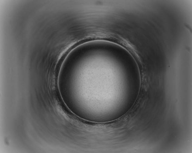 X0000099530012200805231113