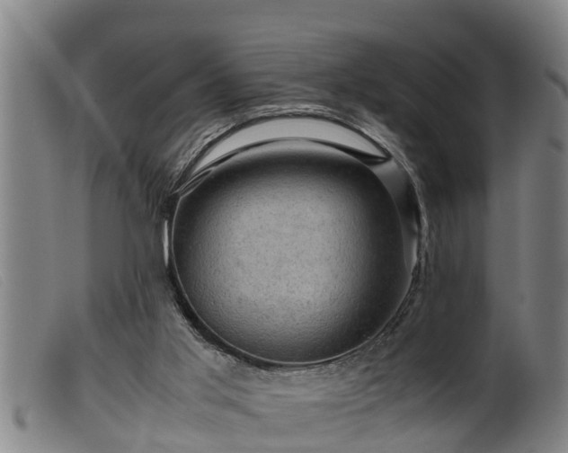 X0000099530013200805231113