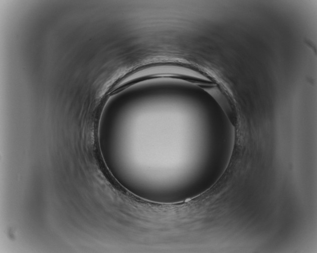 X0000099530015200805231113