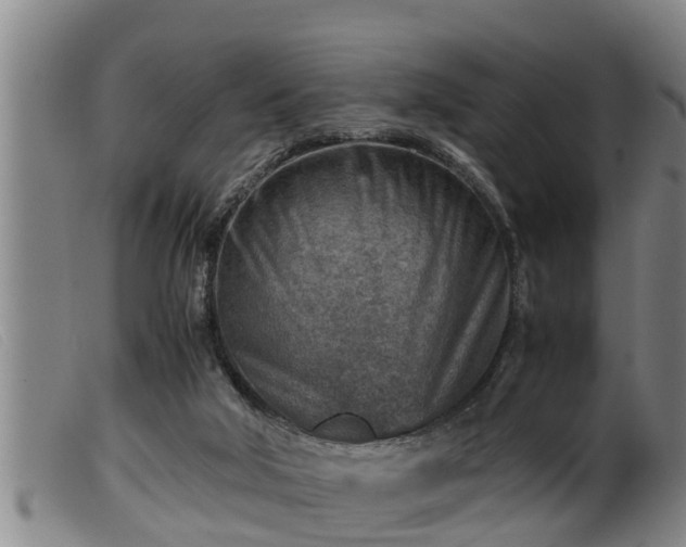 X0000099530018200805231113