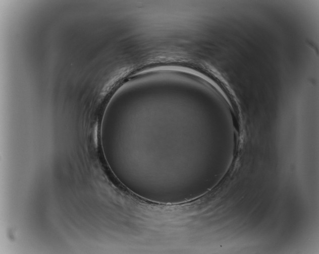 X0000099530019200805231113