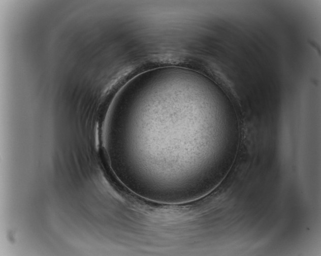 X0000099530020200805231113