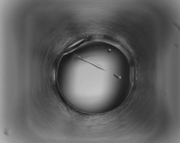 X0000099530021200805231113
