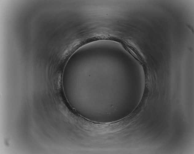 X0000099530023200805231113