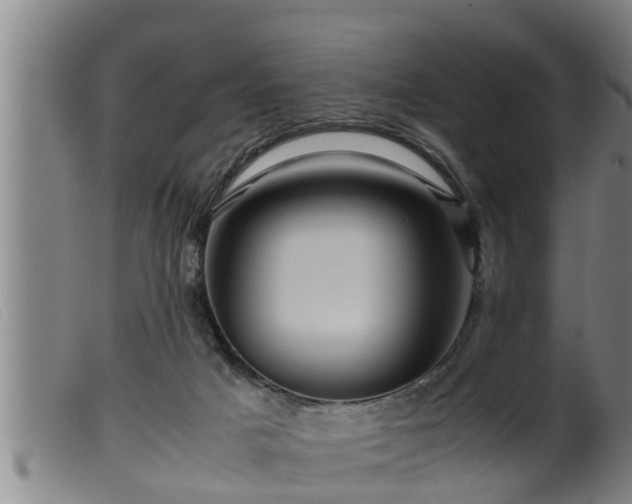 X0000099530025200805231113