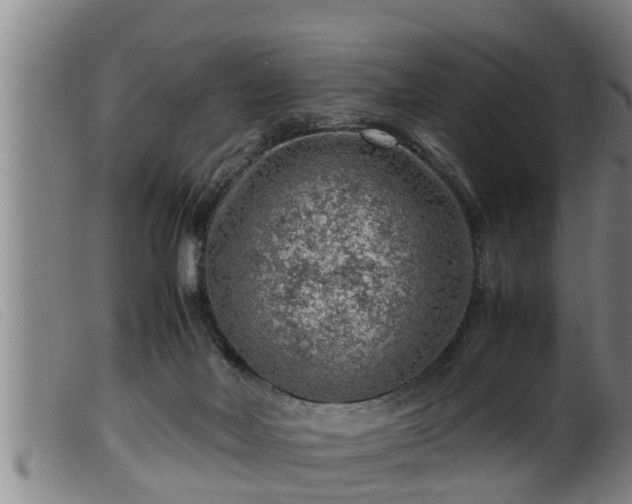 X0000099530026200805231113
