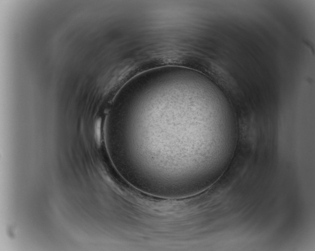 X0000099530028200805231113