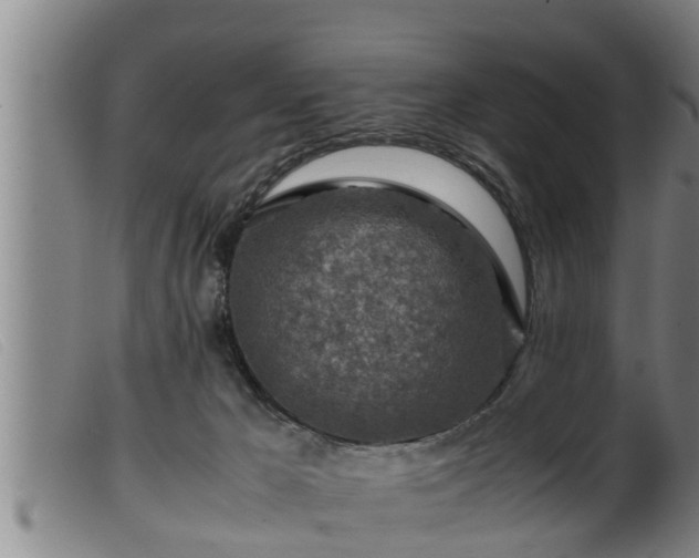 X0000099530029200805231113