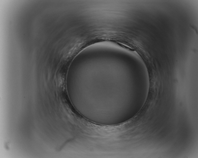 X0000099530031200805231113