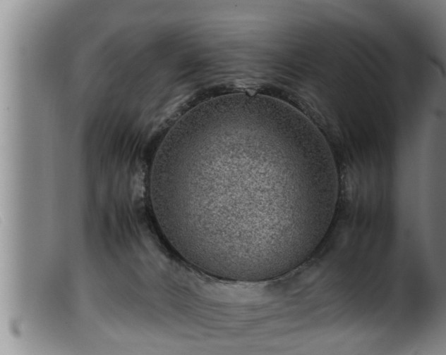 X0000099530032200805231112