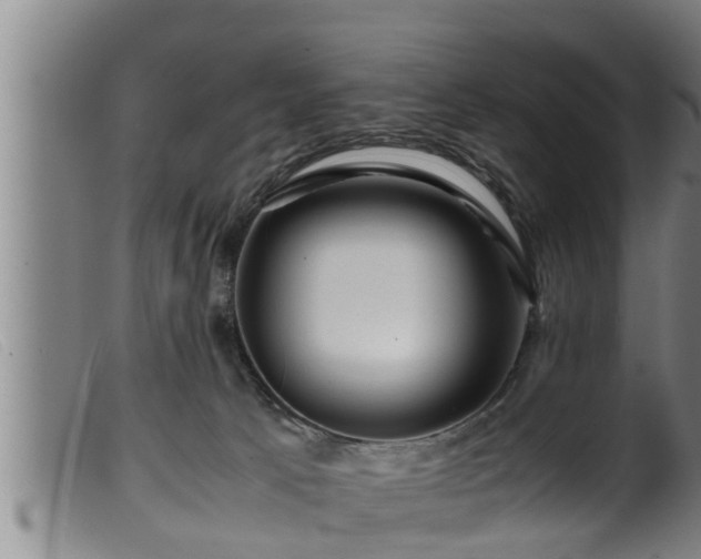X0000099530033200805231112
