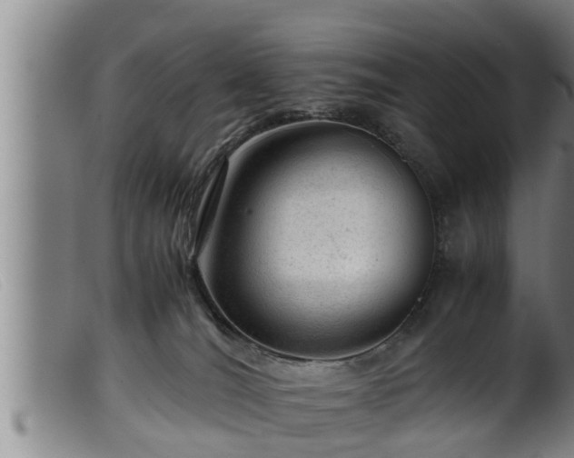 X0000099530036200805231112
