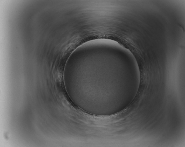 X0000099530039200805231112