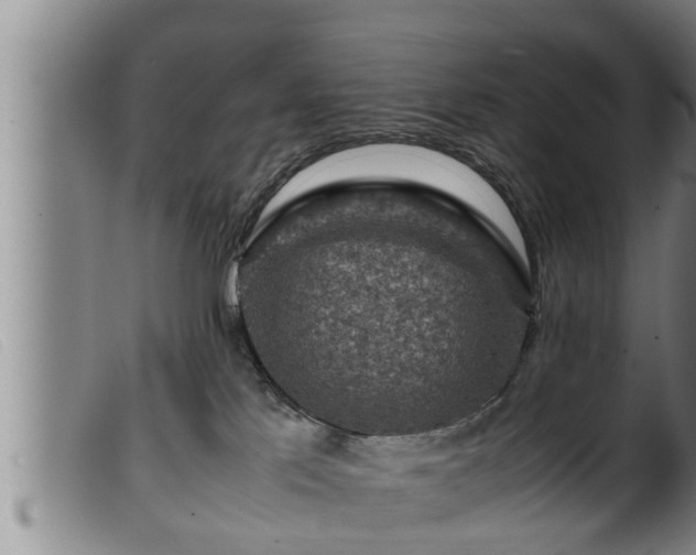 X0000099530041200805231112