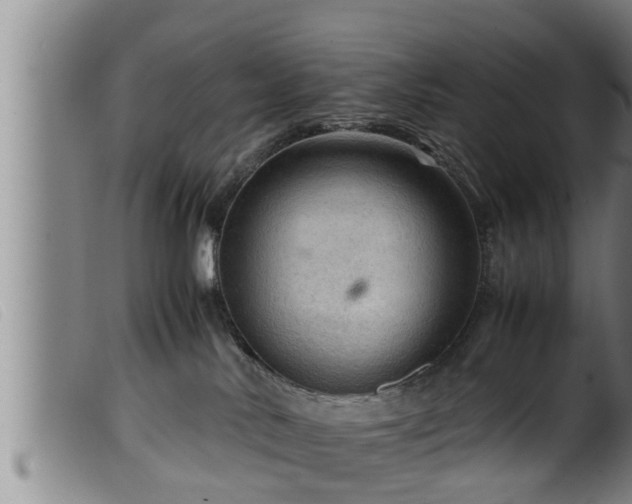 X0000099530042200805231112