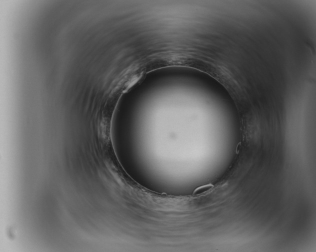 X0000099530044200805231112