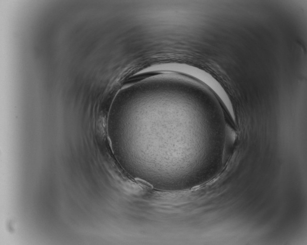 X0000099530045200805231112