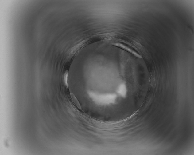 X0000099530047200805231112