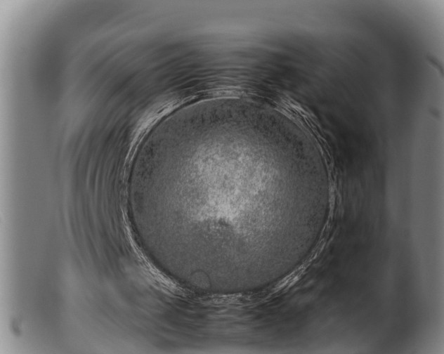 X0000099530049200805231112