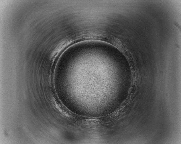 X0000099530050200805231112