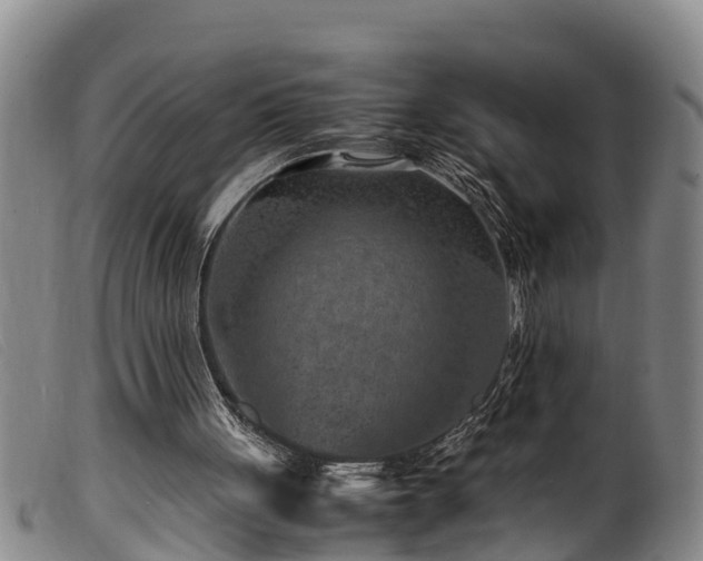 X0000099530051200805231112