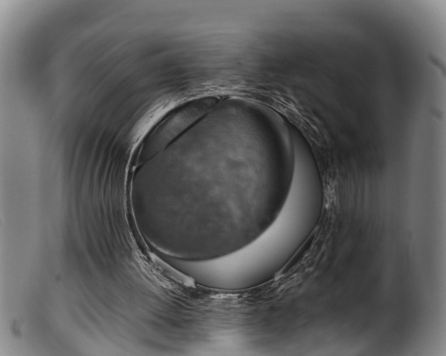 X0000099530052200805231112